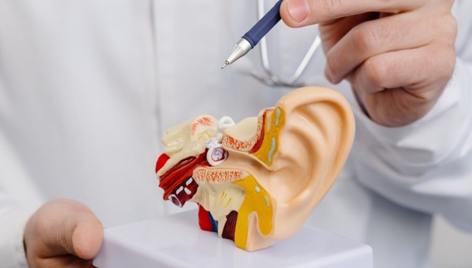 ankara kulak çınlama tedavisi , kulak çınlaması tedavisi ankara